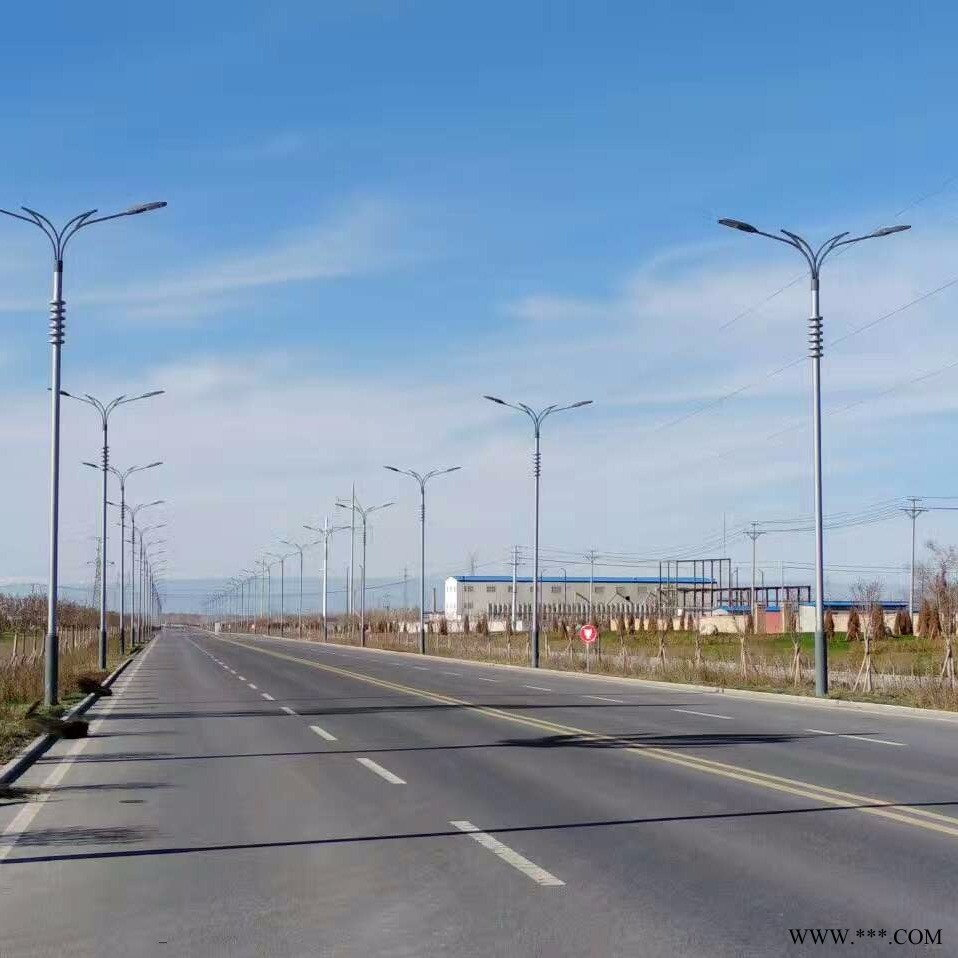 12米13米高杆路灯 双臂路灯厂家直销 城市道路单双臂路灯图1