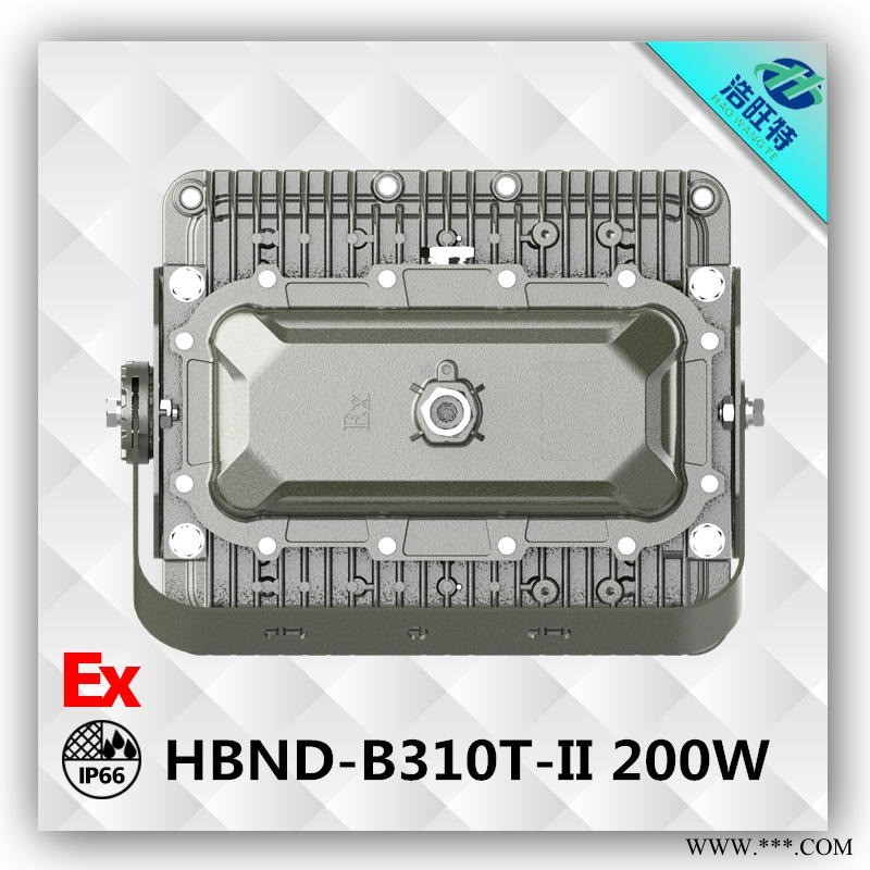 浩旺特HBND-B310T-II LED防爆投光灯  200WLED防爆灯   LED防爆灯厂家直销图1