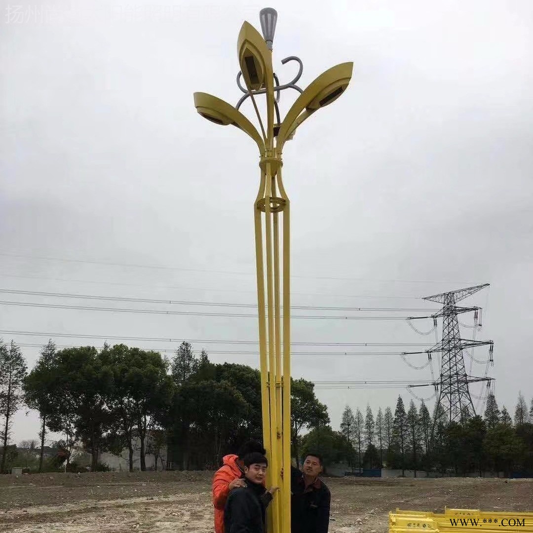 供应广东省高杆灯，投光灯，玉兰灯，中华灯等道路照明设施，全国发货，图1