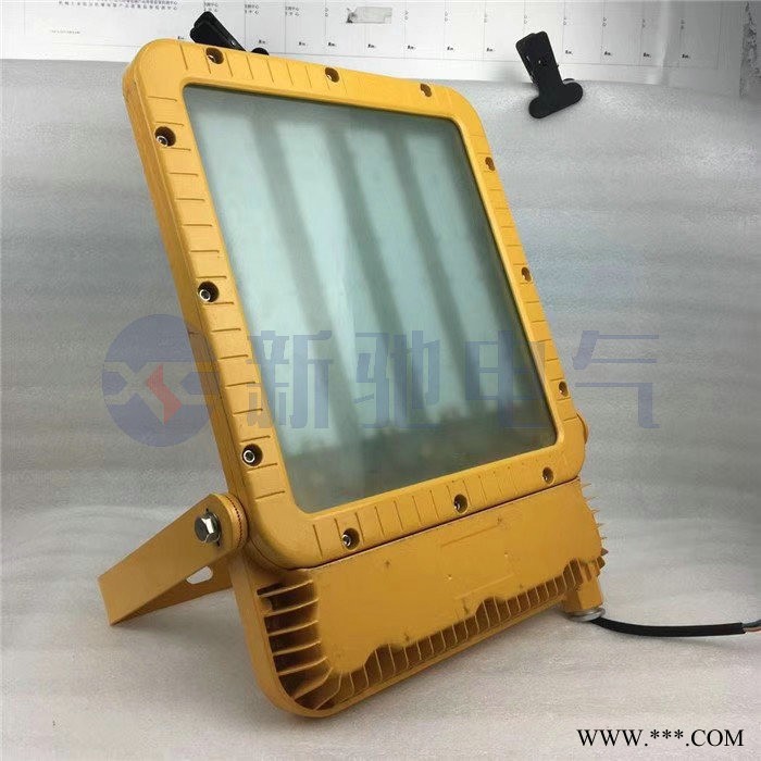 LED防爆投光灯RLEEXL5330-XL200W 类型和分解图1