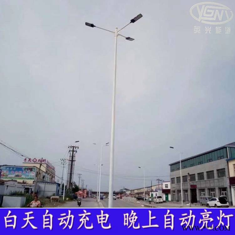 新农村光伏路灯厂家定制led锂电池路灯一体化石家庄路灯图1