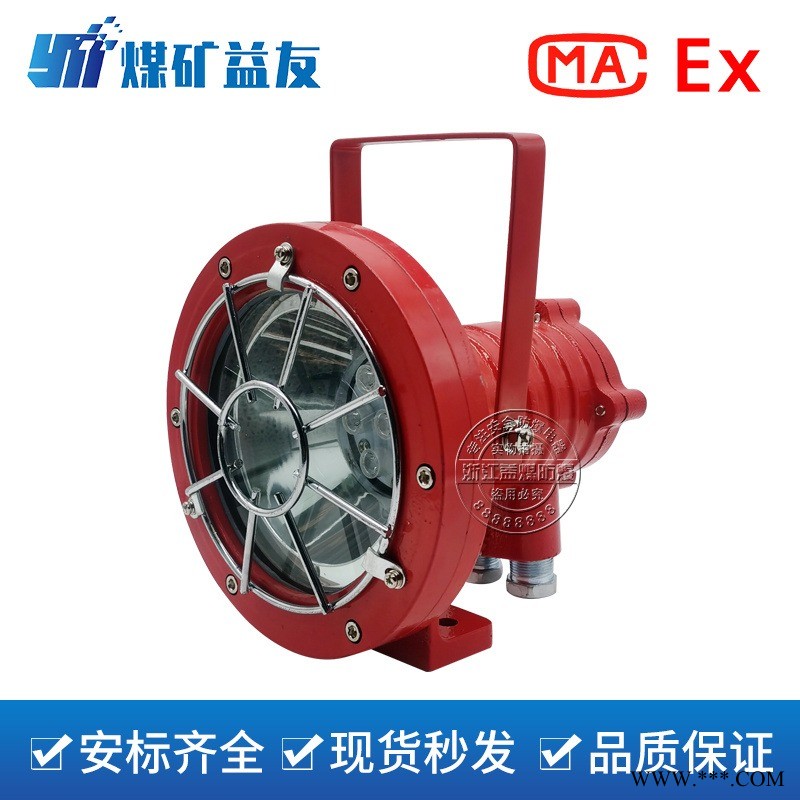 益煤牌 DGS24/127L（A）矿用隔爆型LED投光灯 灯具价格图1