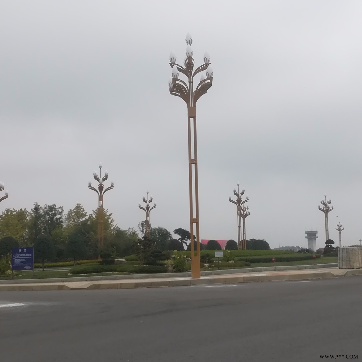 供应湖南省高杆灯，投光灯，玉兰灯，中华灯等道路照明设施，全国发货，图1