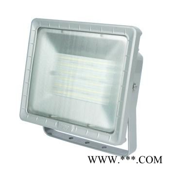 供应金顿WAROM LED投光灯GT311-XL48A 白光5000K 48W 证书齐全价格仅供参考图1