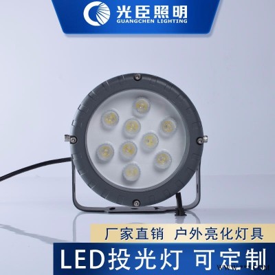 30W50W100W投光灯 光臣照明工厂直销灯具 户外亮化建筑楼体灯