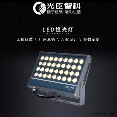 光臣照明投光灯 220V100WLED射树灯 户外楼体亮化
