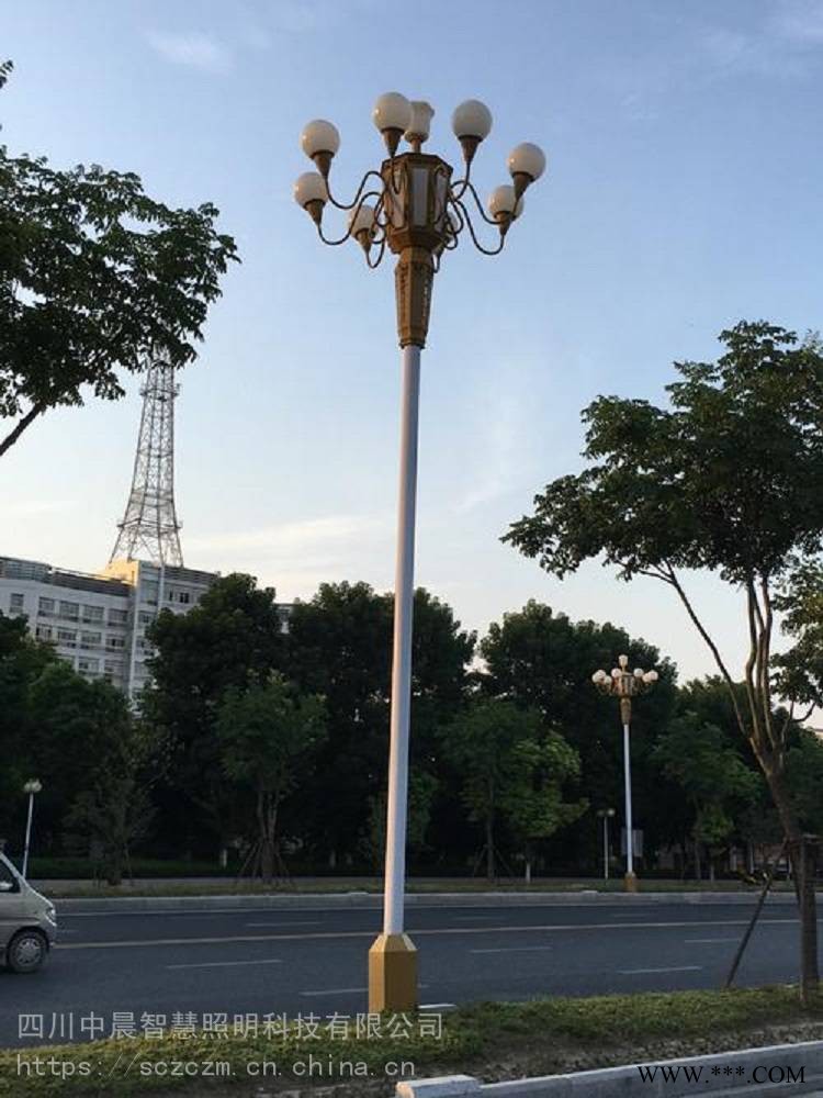 单臂不锈钢路灯四川路灯现货中晨多样式公园路灯图1