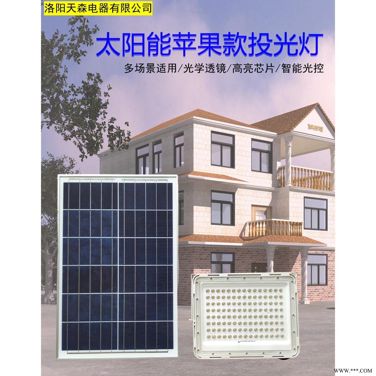 厂家直销天之森  LED太阳能投光灯 苹果款 家用太阳能灯 户外防水 庭院灯  光学透镜设计  智能光控定时图1