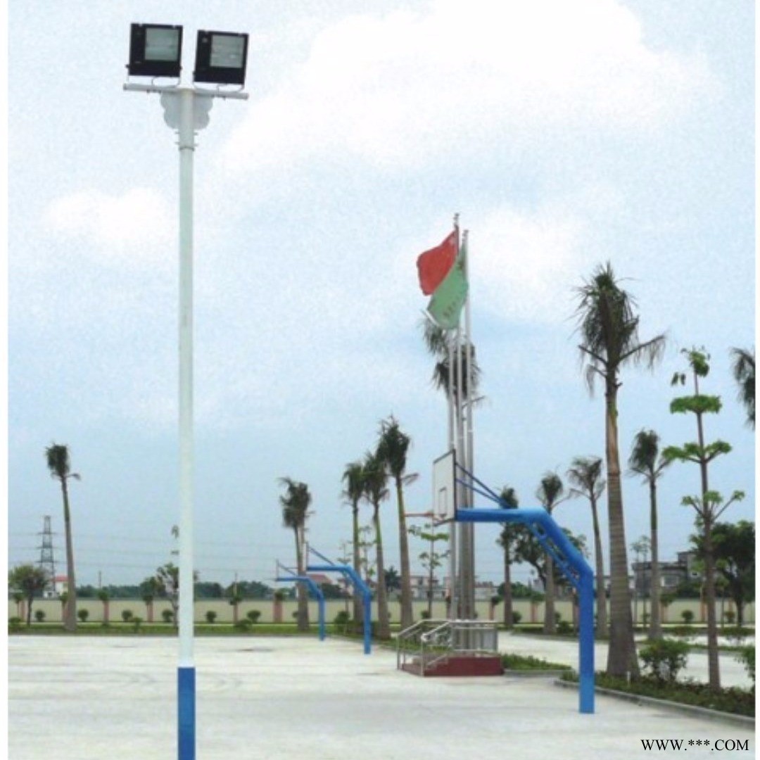 路灯生产厂家供应四川省各种高杆灯，投光灯，球场灯，全国发货，图1