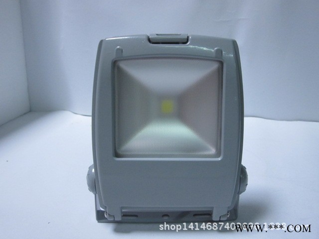 厂家直销高品质LED大功率 10W新款背包投光灯  泛光灯外壳图1