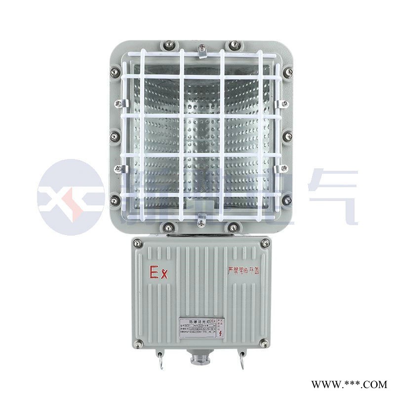 BTD-250/400隔爆型防爆投光灯（分体式）图1