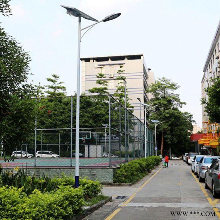 兴安路灯 led火炬太阳能路灯 市电路灯公司  led双臂灯图1