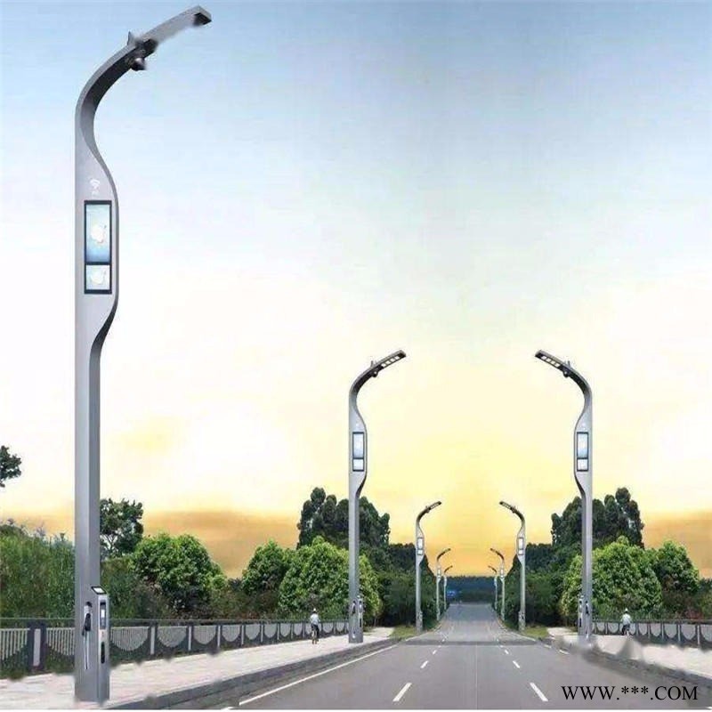 上海智慧路灯厂家  新型智慧路灯充电桩灯杆含软件 智慧路灯批发图1