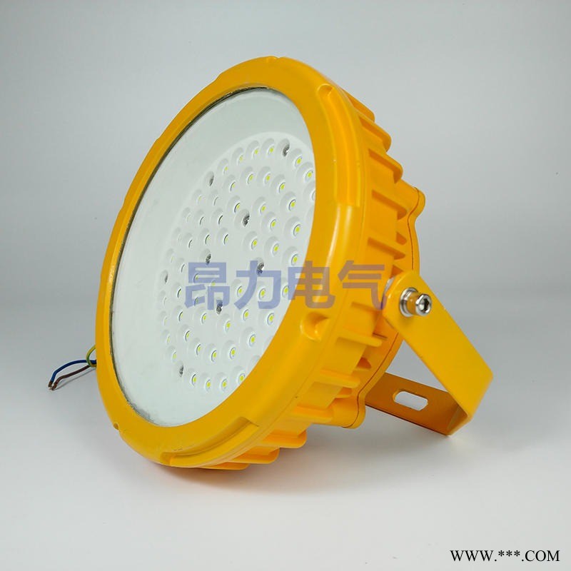 50wled防爆投光灯 30wled防爆节能灯图1