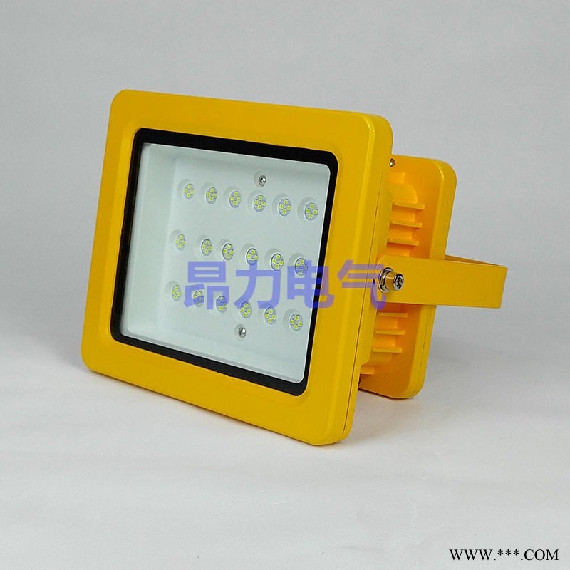 采购防爆led灯30w 40wled防爆投光灯图1