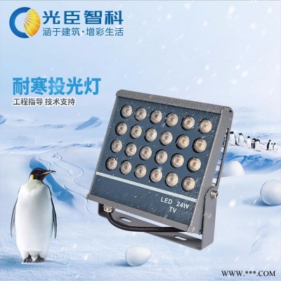 光臣照明楼体亮化工程灯 36W定制投光灯 厂家直销