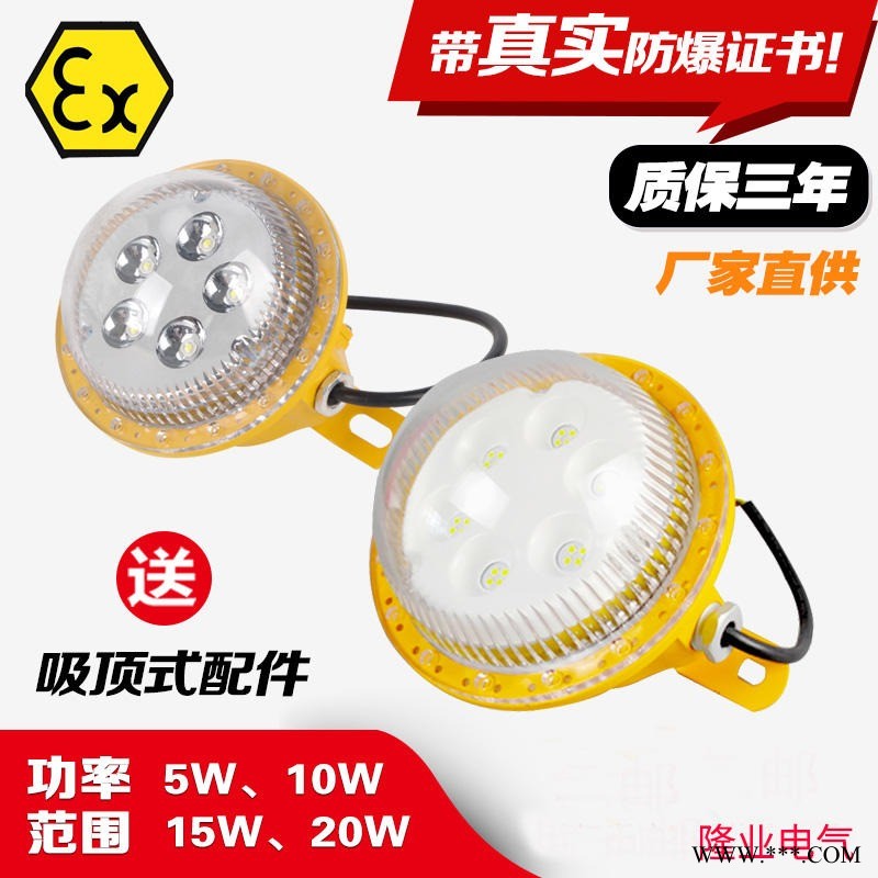 隆业电气-厂家直销大量生产防爆吸顶灯LED， 5W8W10W12W，户外防水防腐投光灯，固态免维护防爆隧道图1
