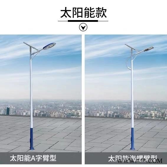 太阳能LED路灯 山东路灯直销 照明厂区公园花园特色路灯图1