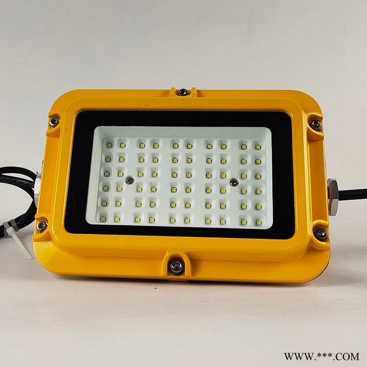 隔爆型投光灯40W 50wled防爆灯批发图1