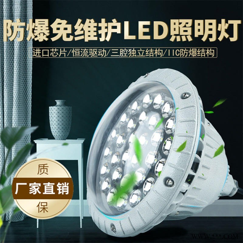 隆业电气-厂家直销防爆免维护LED照明灯40W60W80W投光灯100W泛光灯加油站灯图1