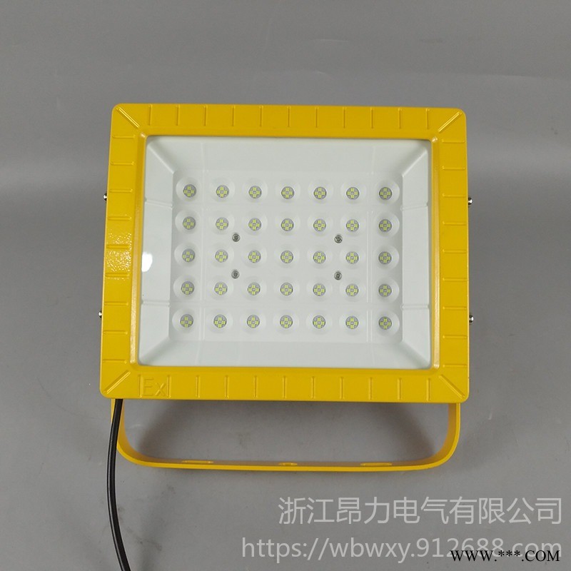 防爆投光灯 100wled防爆灯价格图1