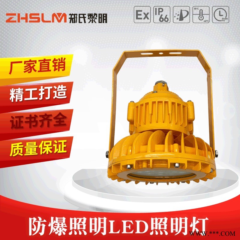 防爆免维护LED照明灯BCD118加油站专用灯仓库厂房照明灯三防照明灯泛光灯投光灯厂家直销图1