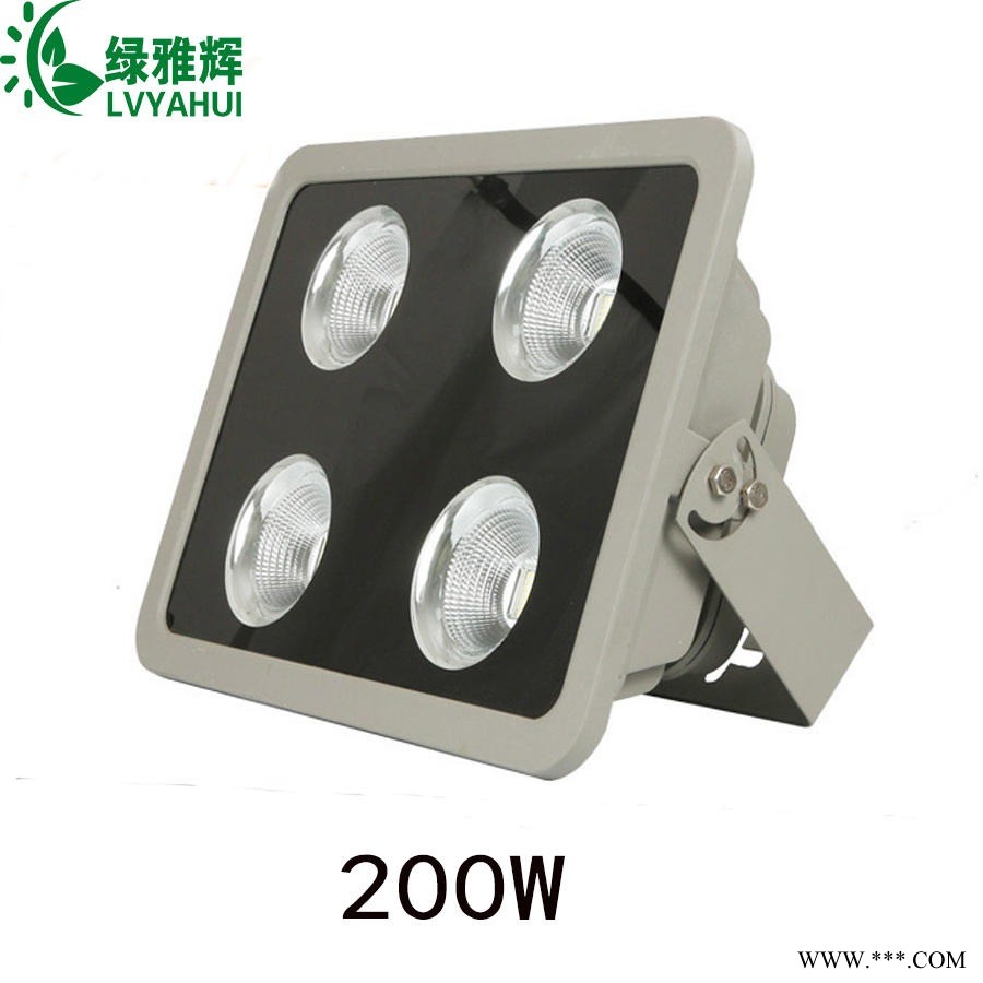 led投光灯 100W 200W 300W 500W背包聚光灯200W 800W 150W球场灯厚外壳图1
