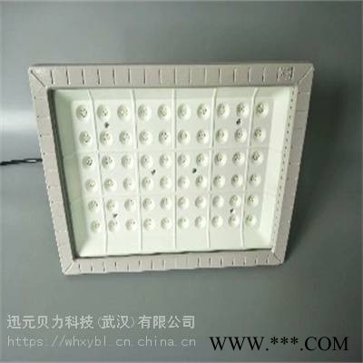 ZBD112-100W储备库支架式防爆投光灯图1