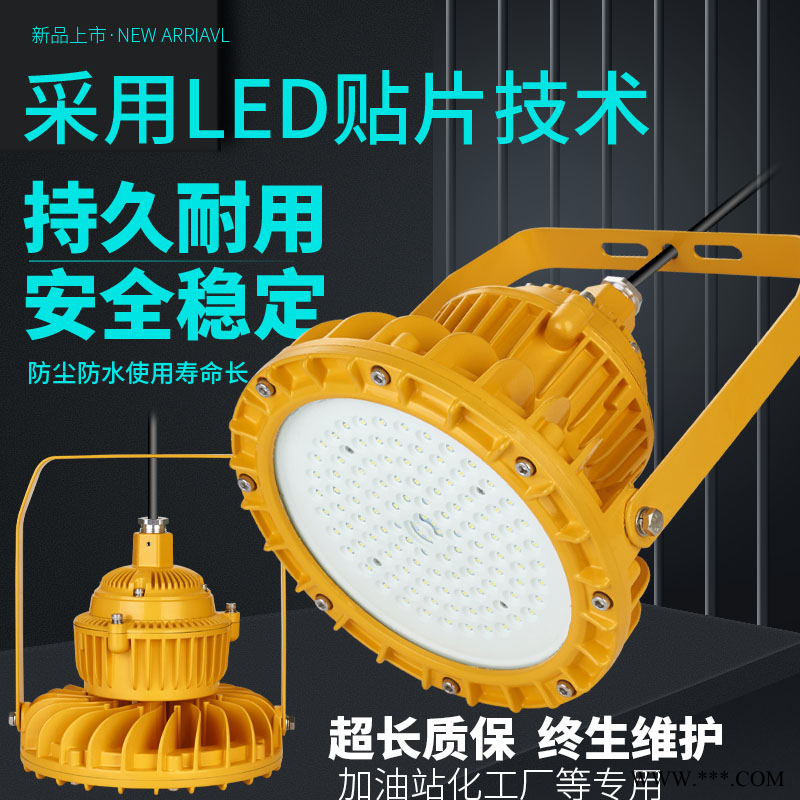 led防爆灯泛光灯化工厂吸顶灯50w100w防腐防尘投光灯图1