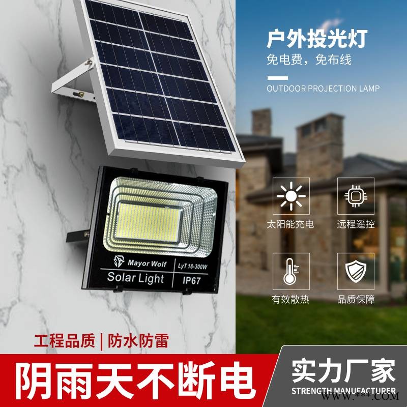 太阳能路灯30W太阳能投光灯户外防水厂房照明农村庭院灯图1