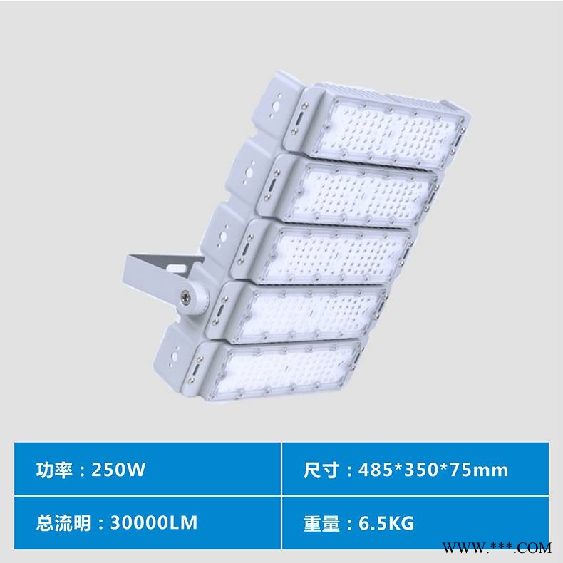 250W篮球场灯 室外防水led投光灯图1