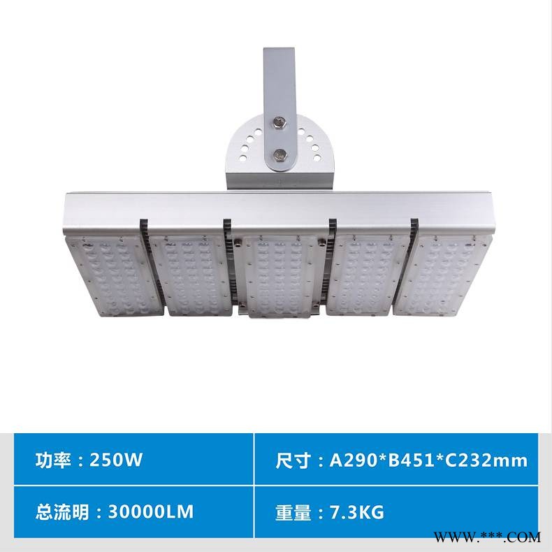 250W投光灯 户外防水防尘亮化LED隧道灯工厂图1