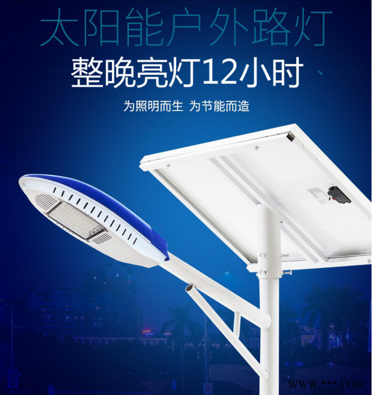 太阳能led路灯 河南许昌7米路灯锂电池路灯图1