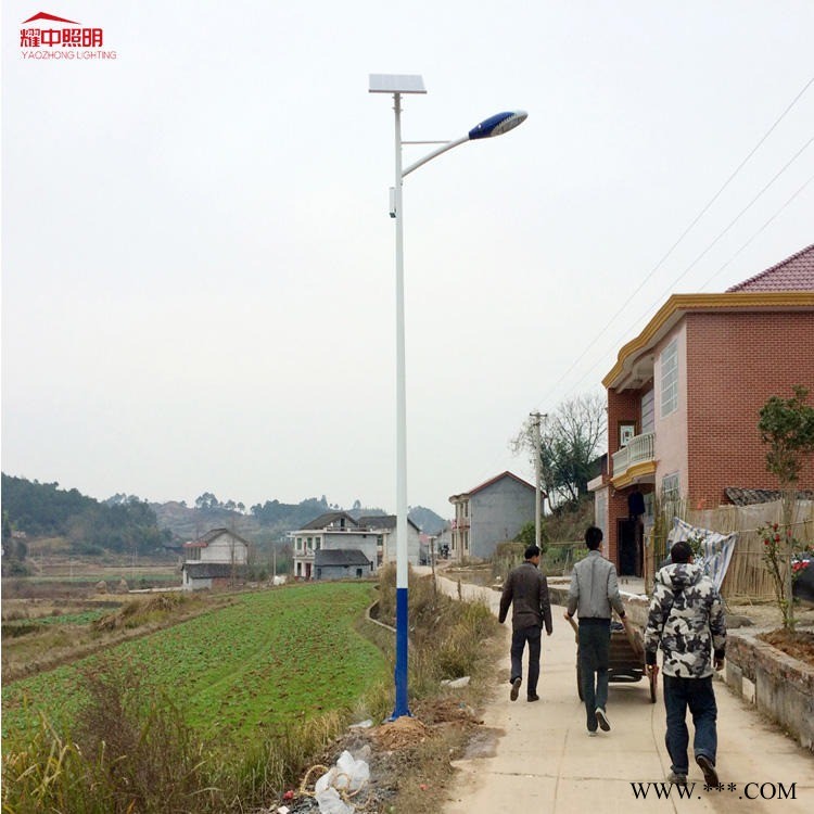 乐山市9米单臂双臂    中杆市电路灯   60W大功率市电路灯图1