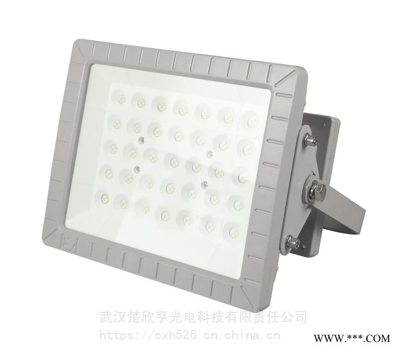 100W200W300WLED防爆投光灯400WLED防爆灯图1