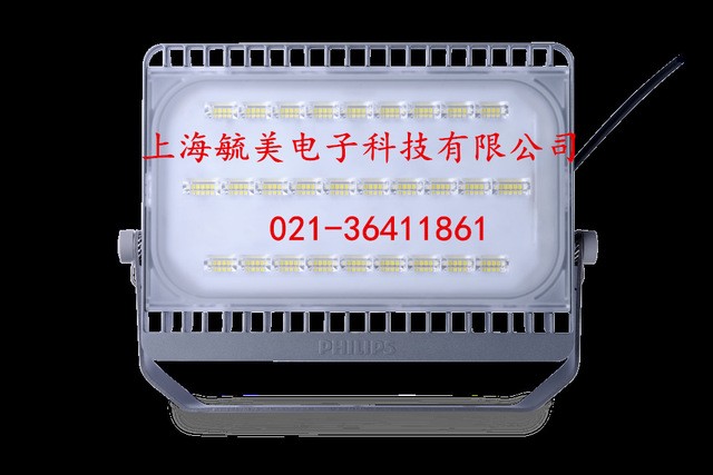 飞利浦Mini Tempo BVP161/30W/50W/70W/100W LED泛光灯/投光灯图1