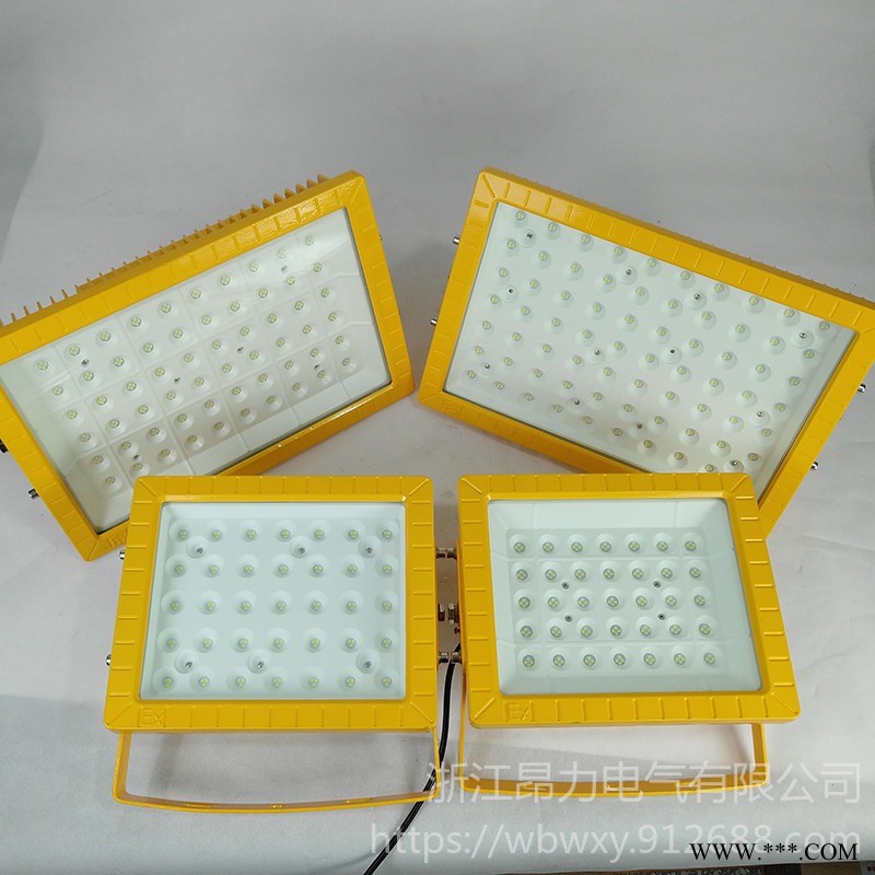 LED防爆投光灯100W 供应高亮度led防爆灯80w图1