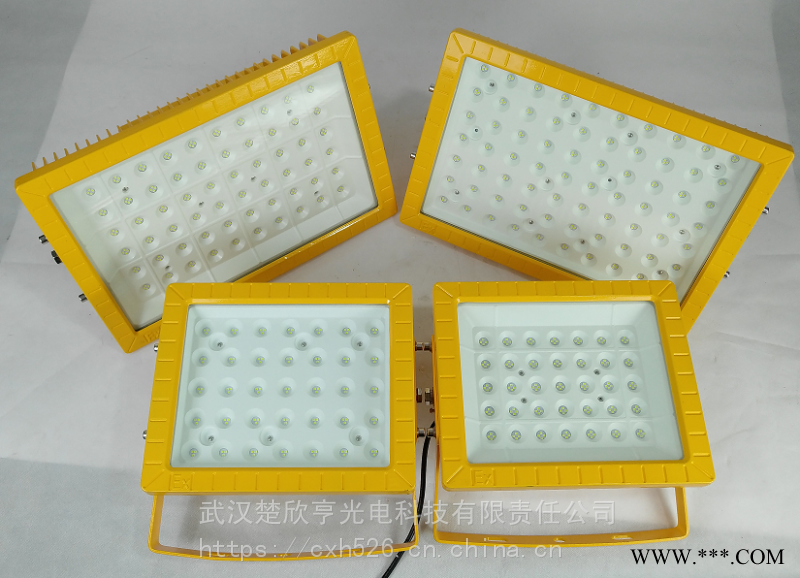 钢铁厂LED防爆灯100W200W300WLED防爆投光灯400WLED防爆灯图1