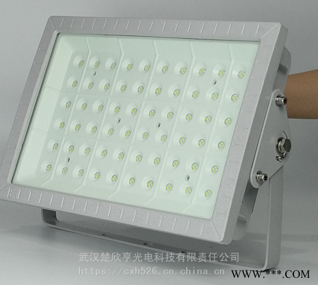 酒厂LED防爆灯200W150WLED防爆投光灯100WLED防爆灯图1