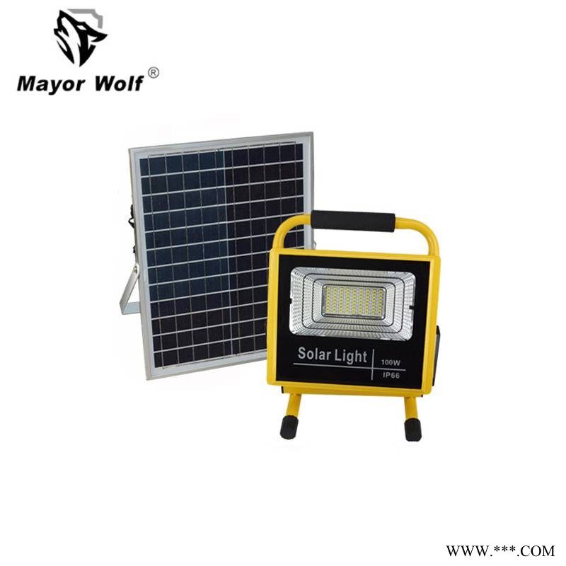太阳能路灯厂家40W太阳能投光灯led农场鱼塘庭院照明灯具图1
