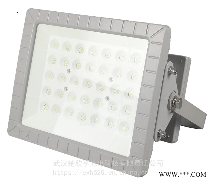 面粉厂LED防爆灯70W100WLED防爆投光灯LED防爆荧光灯图1