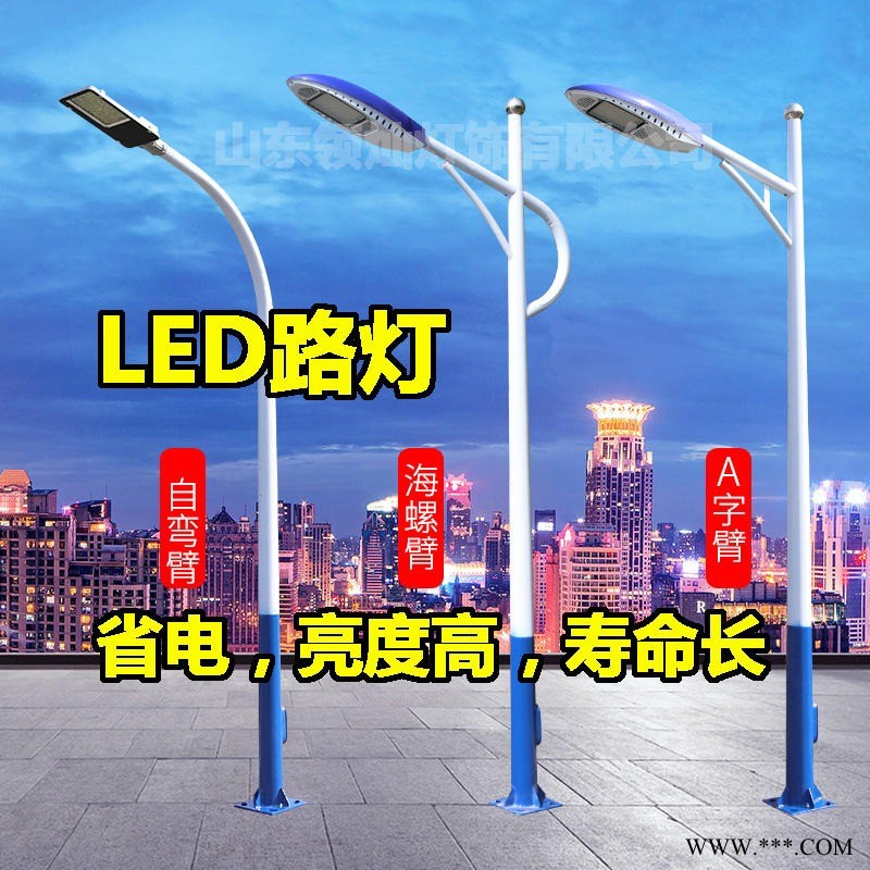 LED路灯  6米LED路灯 LED光源路灯投光灯 德州LED路灯厂家 LED路灯价格 领灿灯饰DLD040202图1