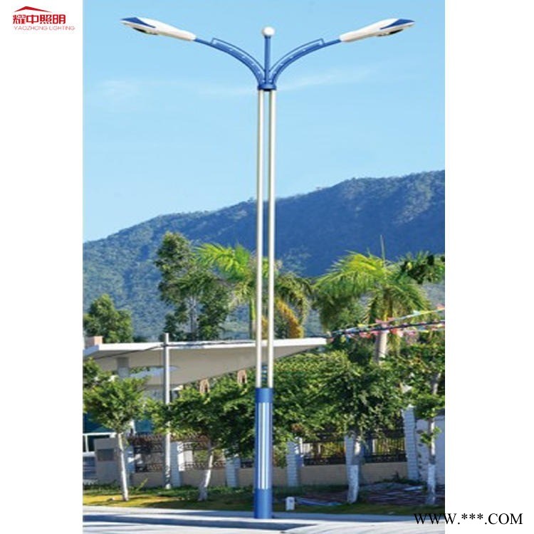 市电路灯厂家      钦州市单臂LED路灯    10米双臂市电路灯图1