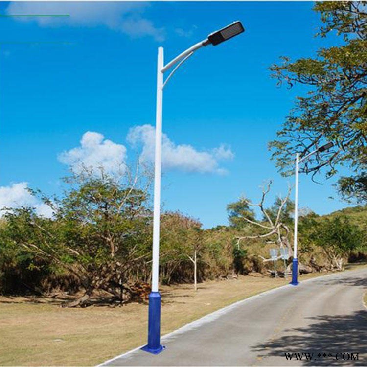 市电路灯价格 工程LED路灯 30W海螺臂双臂路灯 英谷品牌厂家图1