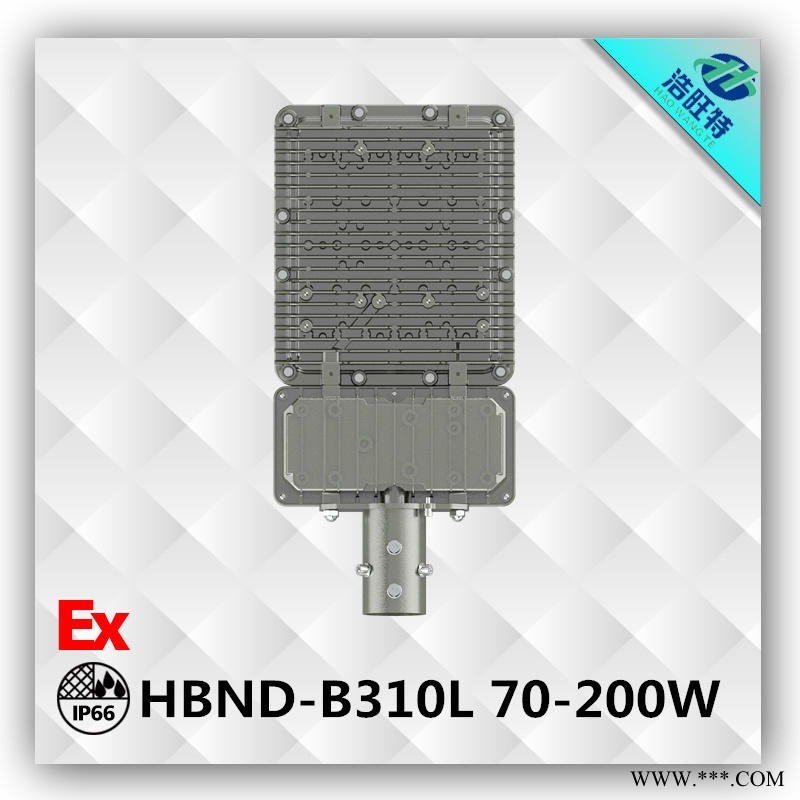 浩旺特HBND-B310LLED防爆路灯 150WLED防爆路灯图1
