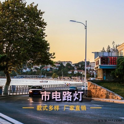 宇泉光伏路灯厂家  市政道路6米led路灯  庭院景观照明乡村路灯价格
