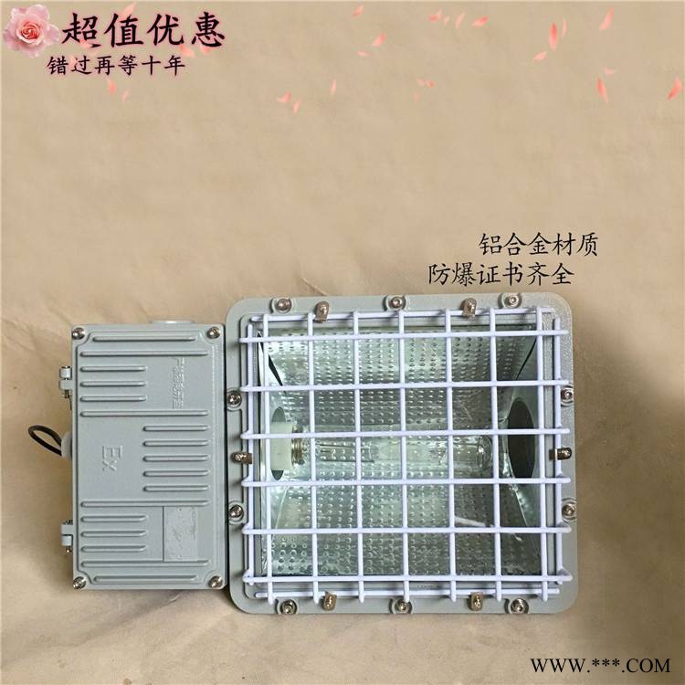 防爆灯 油库钢厂石油防爆投光灯BFC8116A移动照明灯新款图1