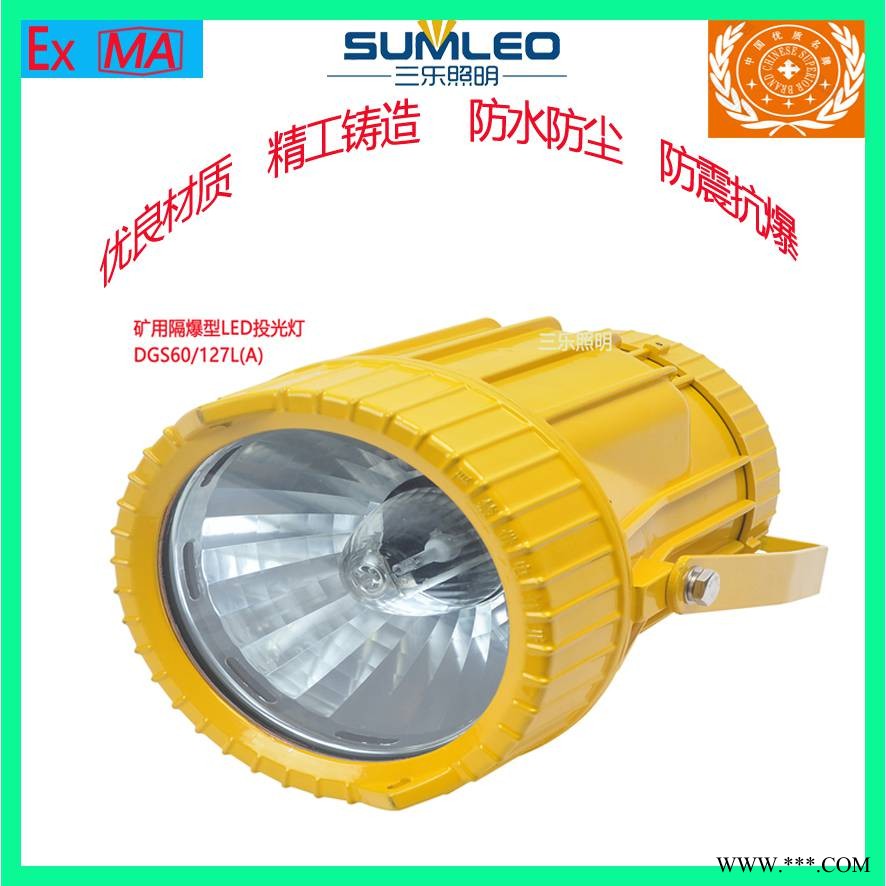 浙江三乐照明矿用隔爆型LED大功率投光灯DGS60/127L(A)图1