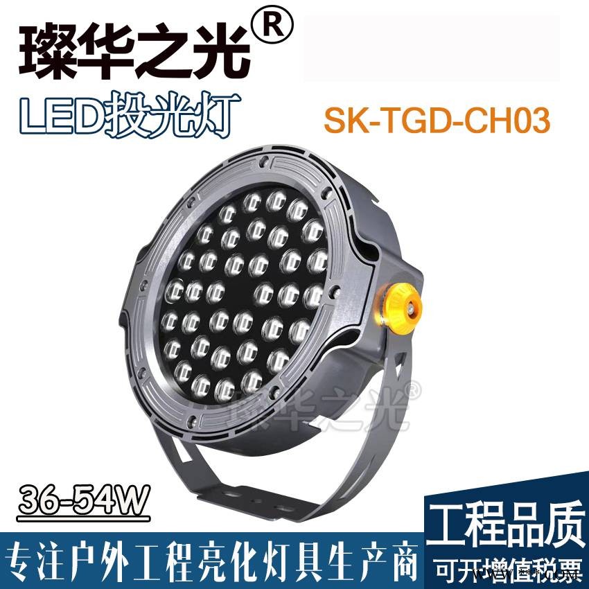 璨华照明SK-TGD-CH03户外防水投光灯36W圆形公园照树灯图1