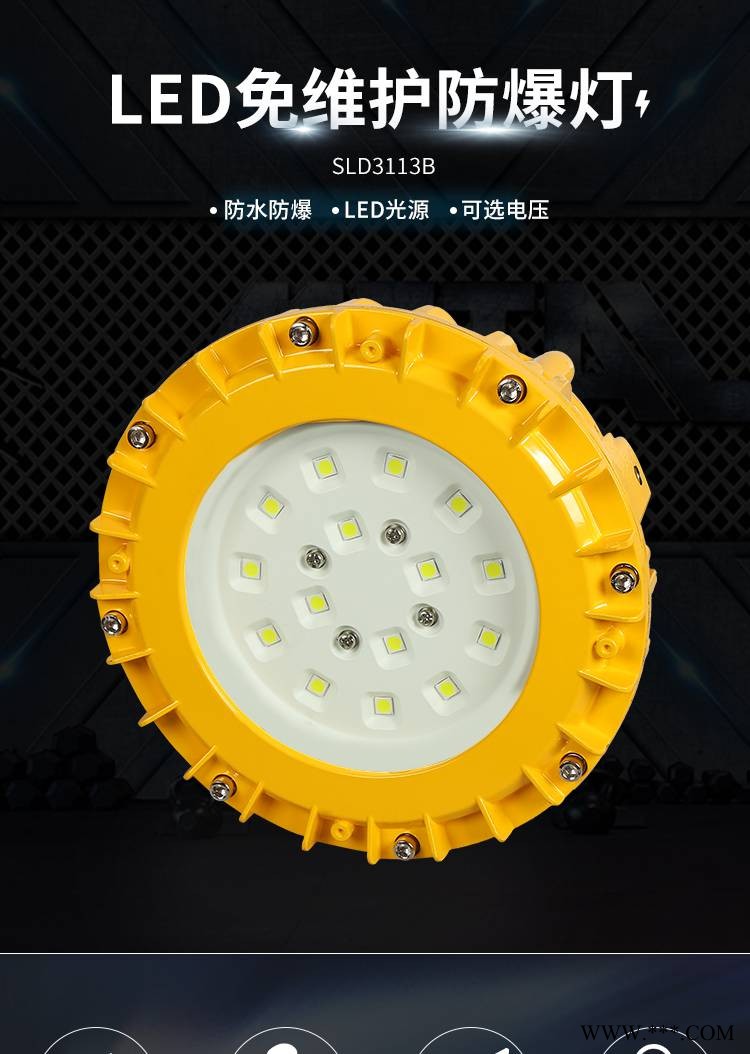 LED防爆灯隔爆型10-200W化工厂车间应急照明投光灯路灯专用定制图1